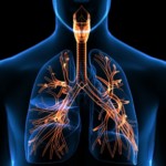 Мезенхімальні клітини людини – лідери в лікуванні хронічних інфекцій легень