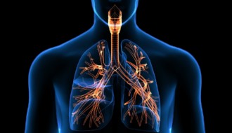 Мезенхімальні клітини людини – лідери в лікуванні хронічних інфекцій легень