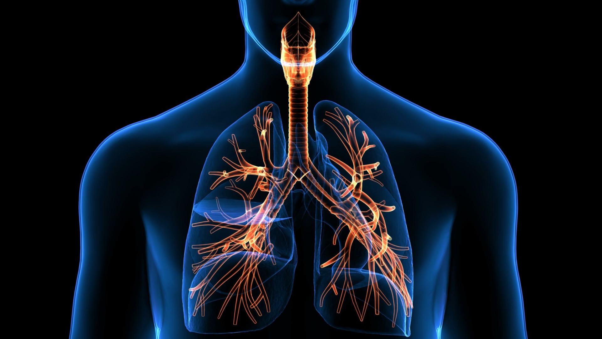 Мезенхімальні клітини людини - лідери в лікуванні хронічних інфекцій легень