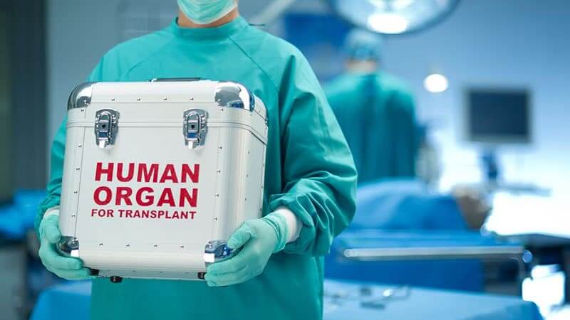 organ-transplantation-how-much-does-it-cost-and-where-can-you-go-for-a