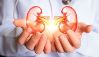 Kidney transplantation: stages and risks