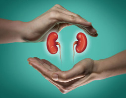 Kidney Transplant MedTour