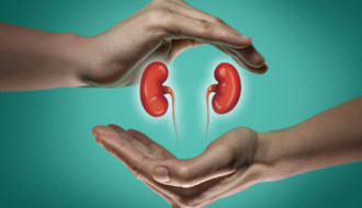 Kidney transplantation in the Turkish University hospital LIV Istinye: new opportunities
