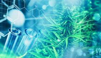 Study finds cannabis is genotoxic and carries cancer risk