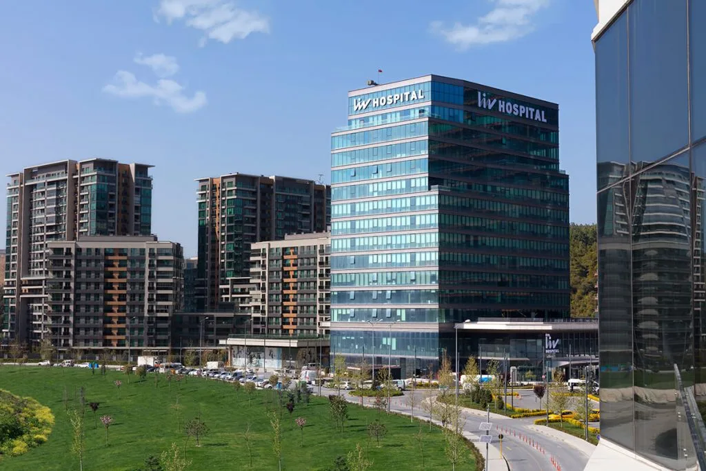 Ваді Стамбул (Liv Hospital Vadistanbul)