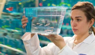 Fish can help oncologists make better decisions about cancer treatment