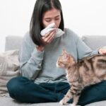 Создана вакцина от аллергии на кошек