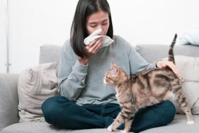 создана вакцина от кошачьей аллергии