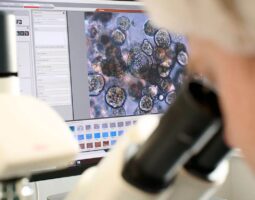 пргноз рака можно делать с помощью цифровых двойников