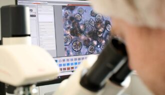 Цифрові «двійники» онкологічних пацієнтів прогнозують відповідь на лікування